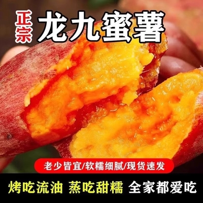 现挖龙九蜜薯新鲜黄心板栗红薯糖心地瓜山芋番薯西瓜香甜软糯甜蜜