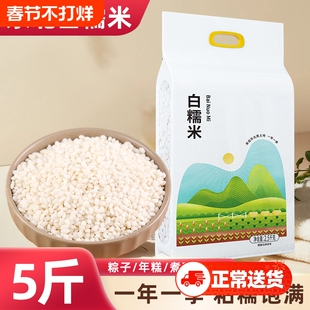 东北白糯米新米农家圆粒糯米圆江米粘米年糕酿酒包粽子专用饭团