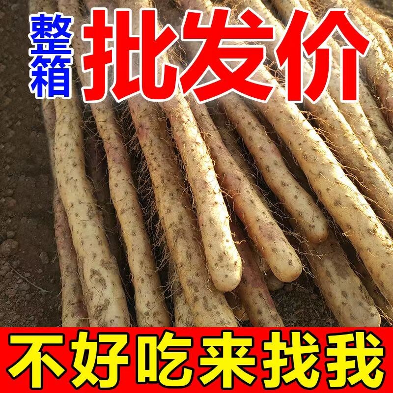 农家自种铁棍山药怀山药新鲜铁杆山药即食小白嘴山药宝宝辅食整箱