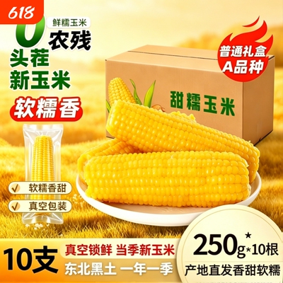 头茬东北新鲜糯玉米黄糯玉米东北粘苞米杂粮粗粮10支装真空包装