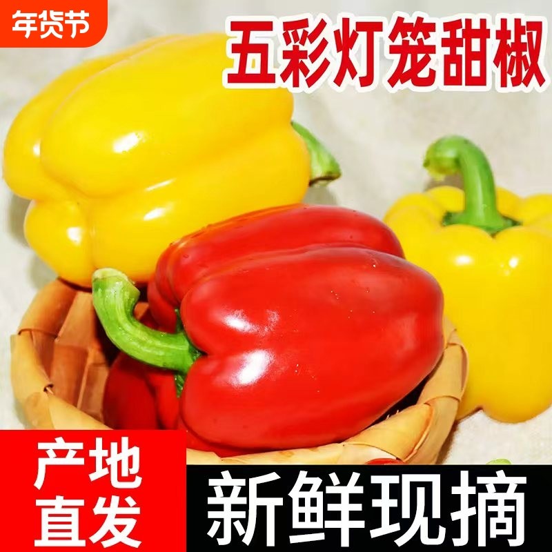 山东新鲜水果彩椒红椒黄椒现摘甜椒可生吃青椒蔬菜农家自种微辣,水产肉类/新鲜蔬果/熟食,辣椒,淘宝优惠券,粉丝福利购,淘宝优惠卷
