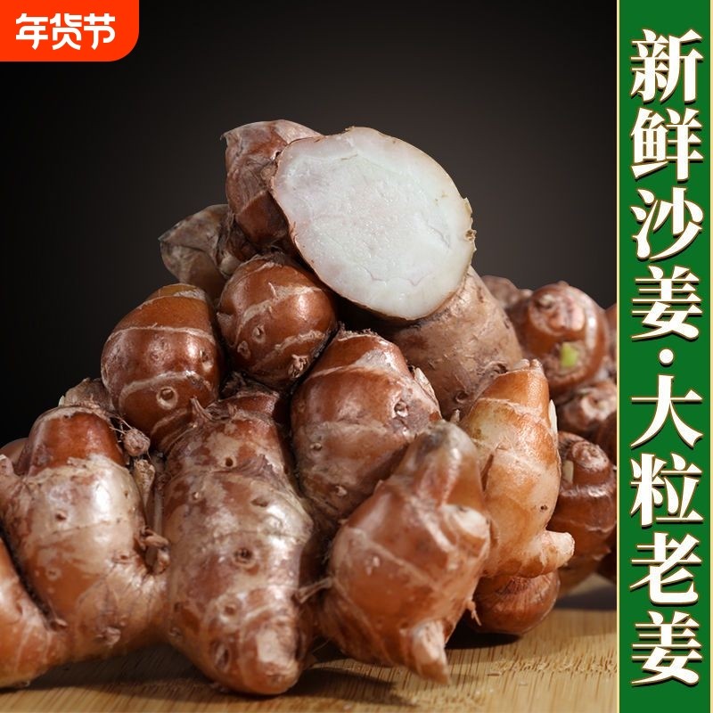 广东正宗沙姜自种新鲜/山奈 白切鸡饭店酒店厨房煲汤卤味配料香浓