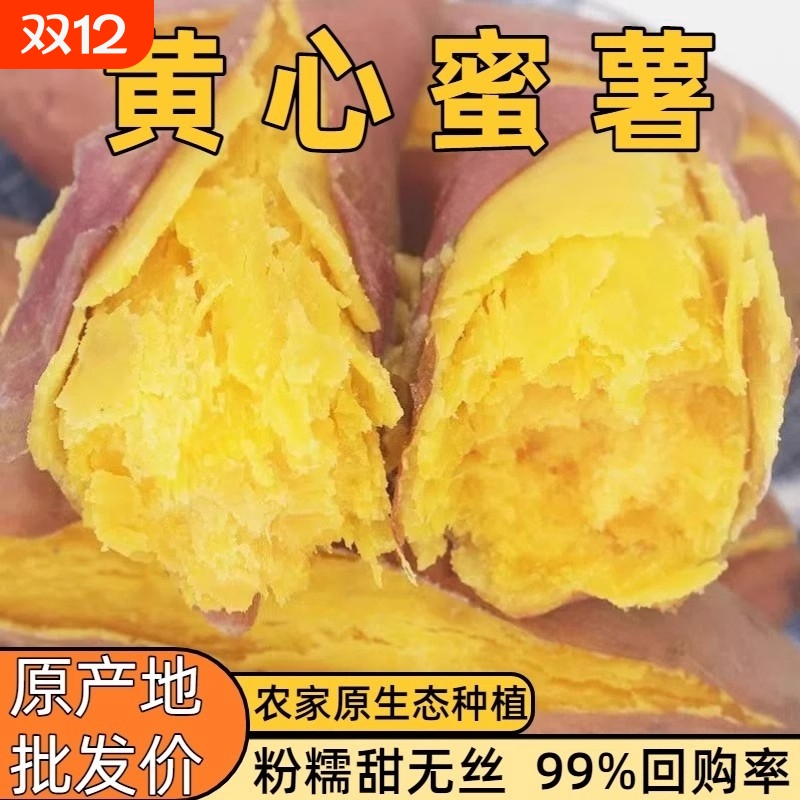 特卖香甜沙地蜜薯新鲜红薯板栗薯番薯黄心龙九地瓜批发自种软糯