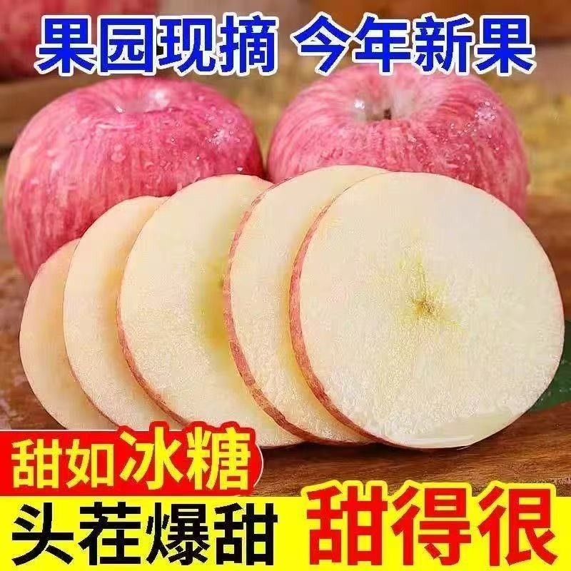 【果香十足】冰糖心脆甜红富士苹果新鲜水果山西应季现摘丑苹果,水产肉类/新鲜蔬果/熟食,苹果,淘宝优惠券,粉丝福利购,淘宝优惠卷