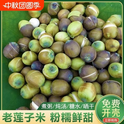 洪湖新鲜现摘老莲子3斤