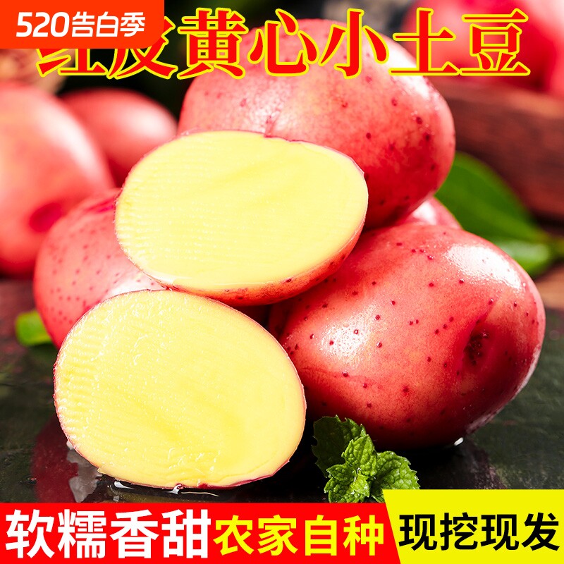 2026年新鲜云南红皮土豆3/5/9斤新鲜黄心土豆高原红皮洋芋