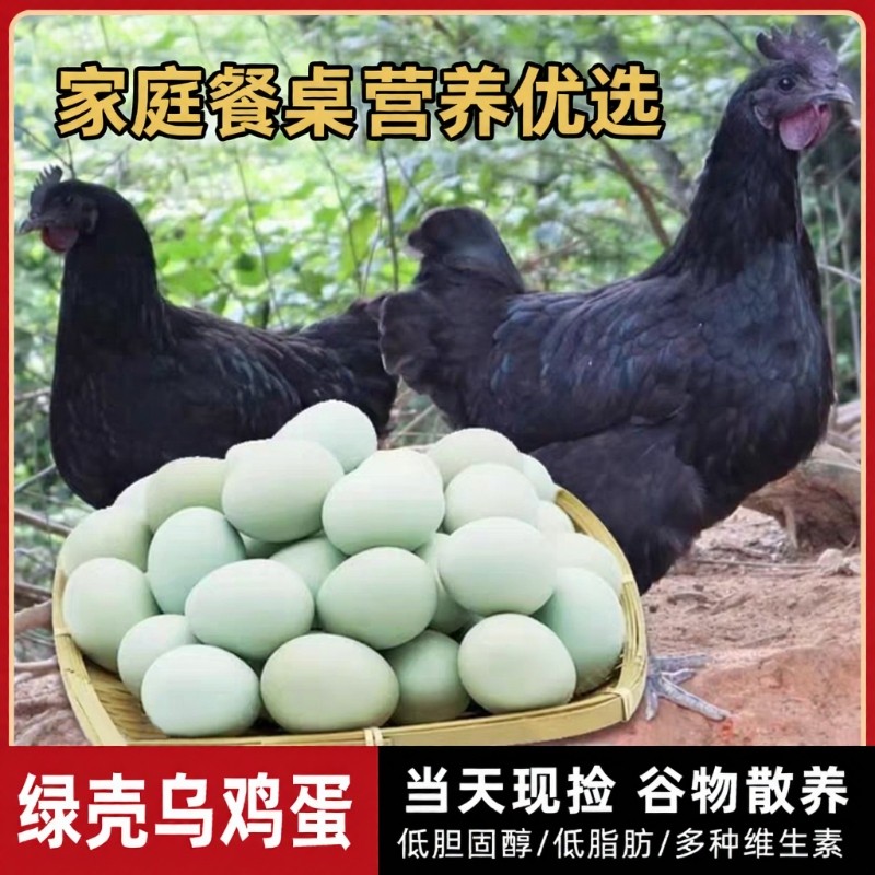 乌鸡蛋正宗农家散养20枚大别山虫草笨鸡蛋跑山鸡蛋绿壳土鸡蛋新鲜