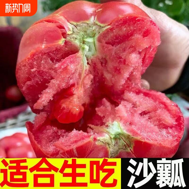 正宗山东普罗旺斯西红柿沙瓤自然熟新鲜现摘粉柿子生吃大番茄包邮