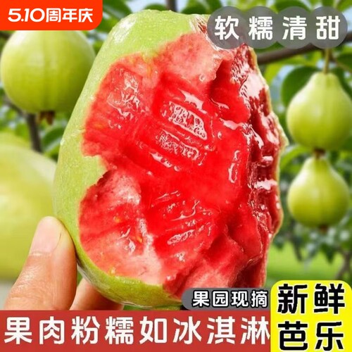 红心芭乐软糯新鲜水果当季批发红肉树熟番石榴软心冰淇淋现摘