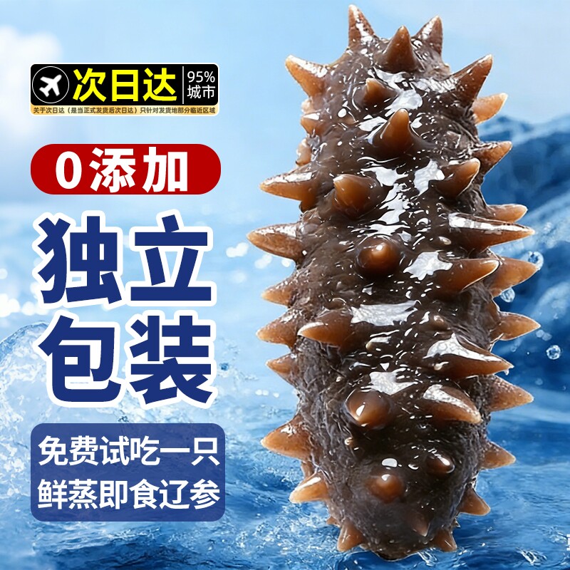大连海参即食独立包装袋辽参刺参海渗鲜活淡干海鲜礼盒官方旗舰店