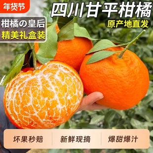 正宗四川甘平柑橘皇后新鲜水果砂蜜桔纯甜耙耙柑礼盒装现摘年货节