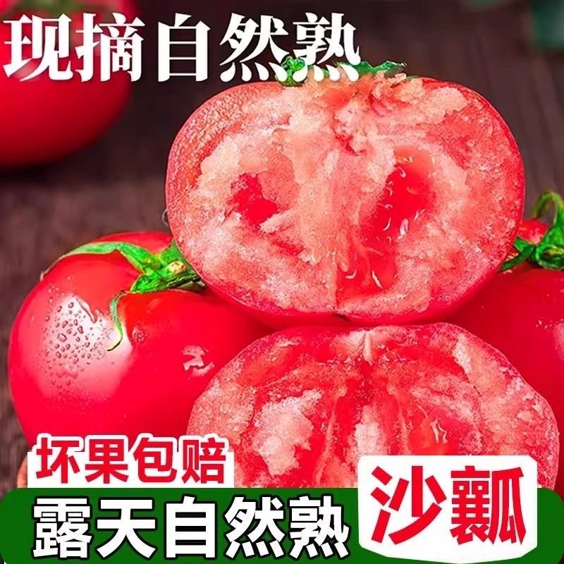 攀枝花西红柿新鲜农家现摘露天沙瓤普罗旺斯农家生吃水果番茄5