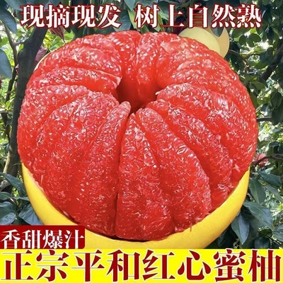 红心蜜柚酸甜薄皮应季红肉蜜柚