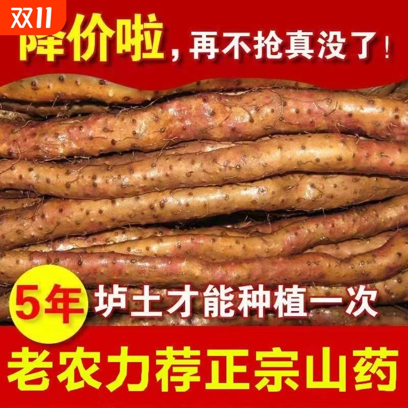 正宗铁棍山药新鲜铁杆怀山药农家山药铁棍批发中药材