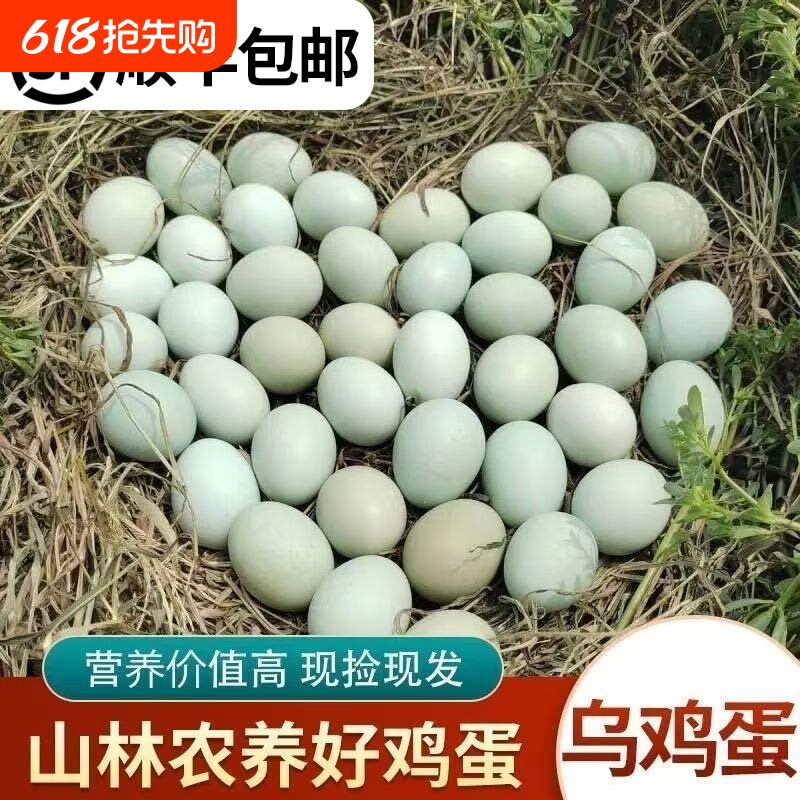顺丰包邮农家林间散养正宗土鸡蛋新鲜孕妇谷物营养虫草蛋柴鸡蛋