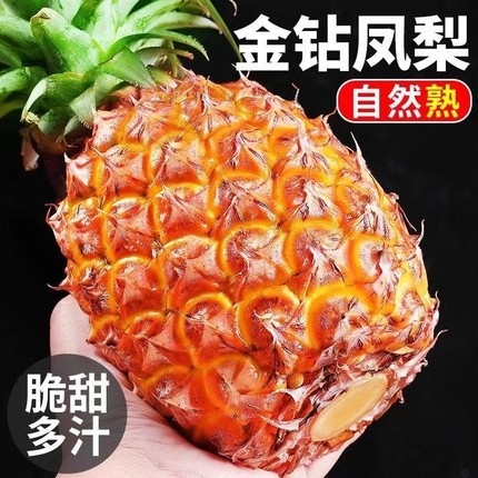 海南金钻凤梨新鲜热带水果菠萝现摘现发9斤包邮树上可食用香甜