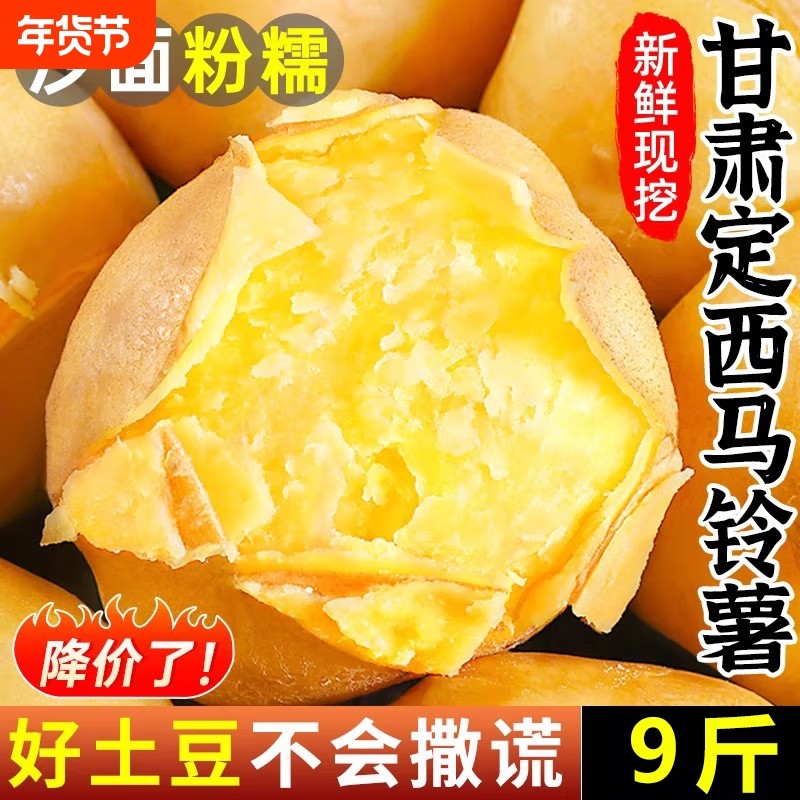 甘肃定西土豆沙面新鲜马铃薯农家洋芋批发5/9斤洋芋大果粉糯