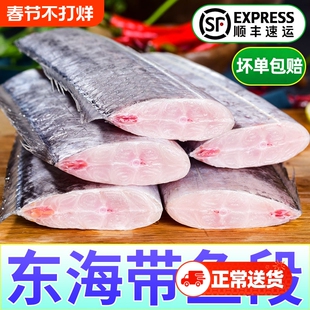 带鱼段中段冷冻东海刀鱼段油带鱼海鲜水产新鲜小眼鲜带鱼配送送达