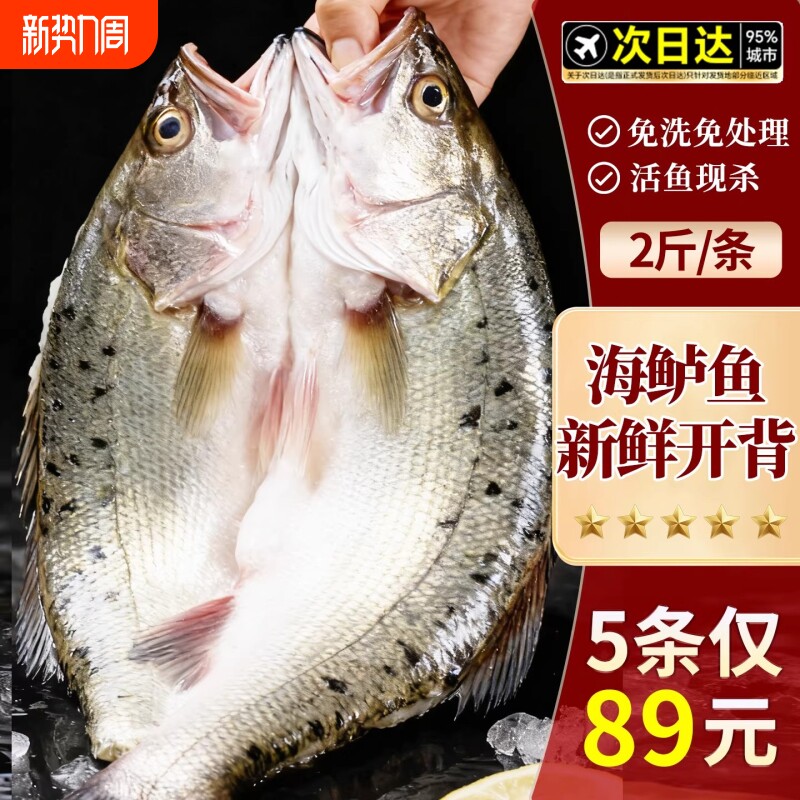 海鲈鱼开背海鱼新鲜冷冻鲜活深海白蕉七星水产特大烤鱼半成品商用
