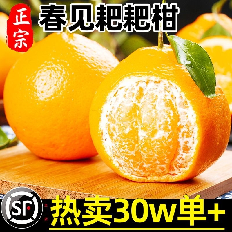 【9斤春见耙耙柑钜惠】爆珠口感