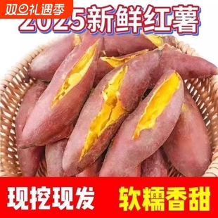 正宗蜜薯龙九沙地红心现挖黄心番薯新鲜糖心地瓜板栗红薯山芋批发