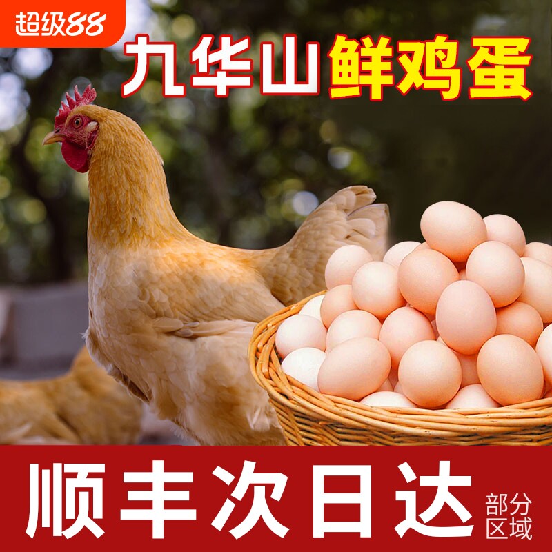 顺丰包邮正宗九华山鸡蛋100枚整箱批发农家新鲜鸡蛋次日配送
