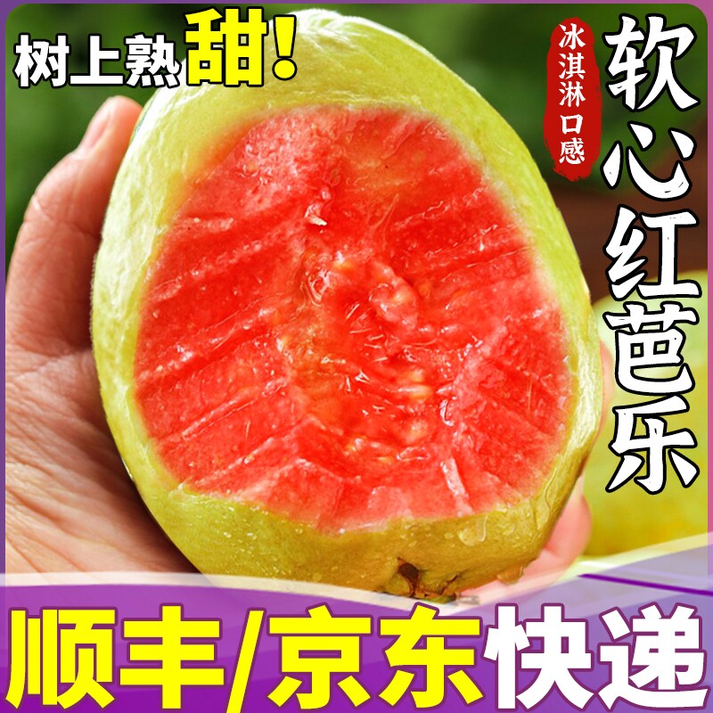 正宗福建软糯红心芭乐新鲜水果番石榴脆甜软糯胭脂红巴乐整箱包邮