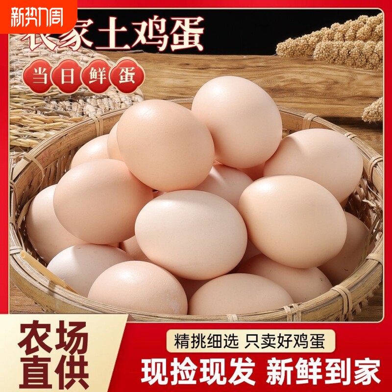 散养鸡蛋农场直发鲜鸡蛋虫草蛋鲜鸡蛋农家草鸡蛋笨鸡蛋整箱