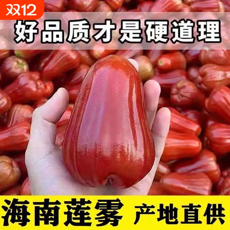 海南黑珍珠热带特产莲雾