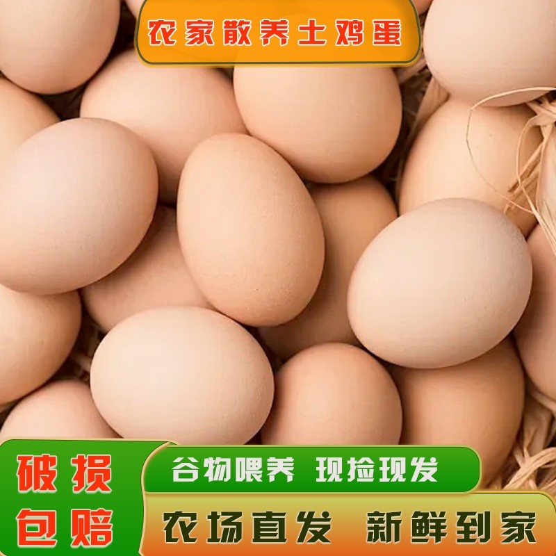 现捡现发每日鲜蛋农家散养土鸡蛋谷物蛋柴鸡蛋笨鸡蛋营养辅食蛋