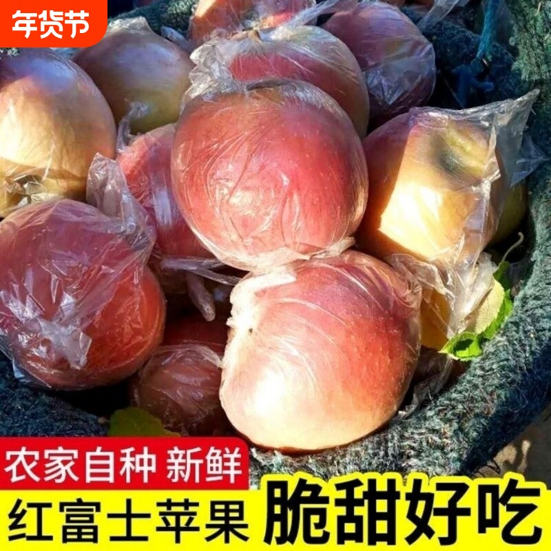 25新果陕西高山红富士脆甜丑苹果水果直发整箱大沙河不打蜡新鲜