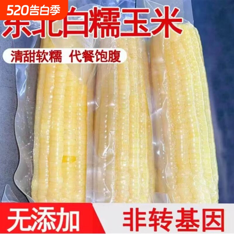 东北 新鲜白糯玉米10支低脂代餐真空包装粗粮代餐