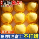 正宗山东烟台黄金奶油富士粉面新鲜水果冰糖心当季 甜苹果产地脆甜