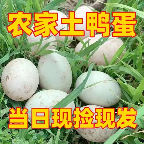20枚土鸭蛋农家散养优质生鲜鸭蛋新鲜生鸭蛋营养鲜鸭蛋现捡现发