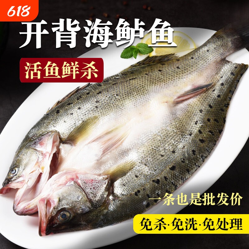 海鲈鱼开背新鲜冷冻鲜活深海鱼白蕉七星海卢鱼水产烤鱼半成品商用
