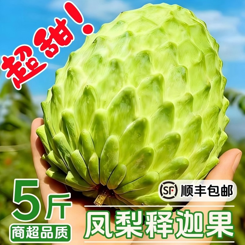 SVIP凤梨释迦果5斤云南新鲜牛奶番荔枝牟尼果整箱水果批发,水产肉类/新鲜蔬果/熟食,番荔枝/释迦,淘宝优惠券,粉丝福利购,淘宝优惠卷