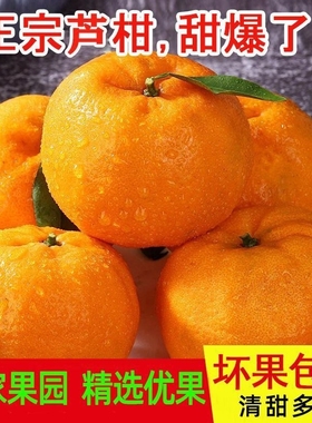 湖南正宗芦柑现采摘水果应季石门蜜柑碰柑酸甜多汁儿孕妇水果橘子