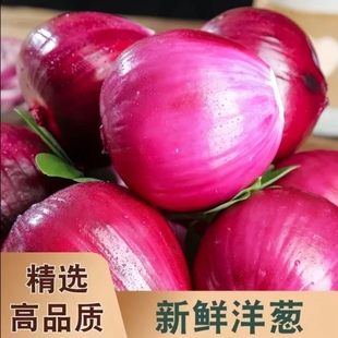 正宗紫皮洋葱新鲜辛辣可口生吃甜圆葱洋葱头当季农家蔬菜整箱包邮