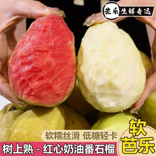 广西软糯红心奶油芭乐水果应季 新鲜番石榴脆甜胭脂红鸡屎果批发