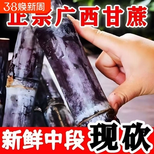 正宗广西黑皮甘蔗10斤新鲜农家自种精选中段脆甜整箱果蔗杆蔗包邮