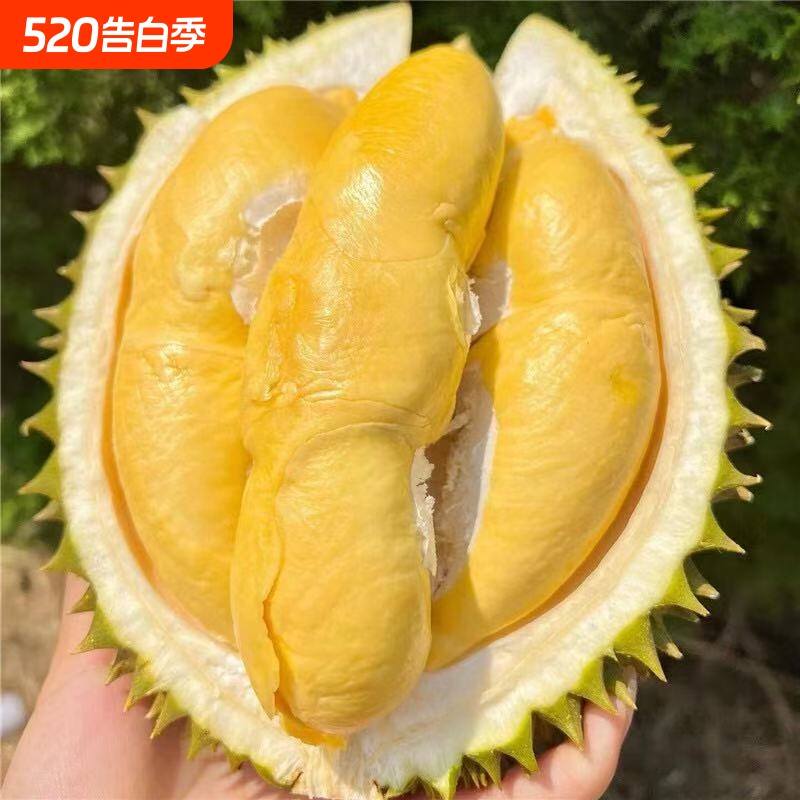 顺丰A级泰国金枕榴莲老树核小肉多干苞软糯当季猫山带壳一整颗
