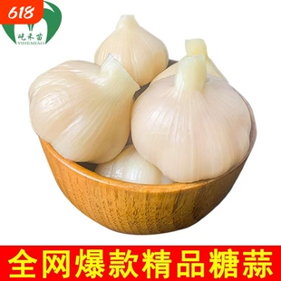 糖蒜头糖醋蒜腌大蒜山东新鲜大蒜咸菜下饭菜糖醋泡蒜糖蒜商用酱菜
