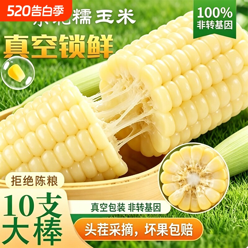 白糯玉米甜糯东北新鲜白糯玉米真空装加热即食新鲜玉米棒代餐粗粮