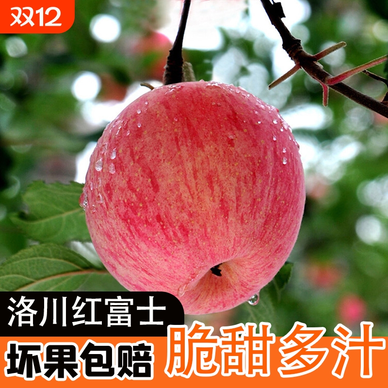 陕西洛川红富士整箱苹果10斤新鲜