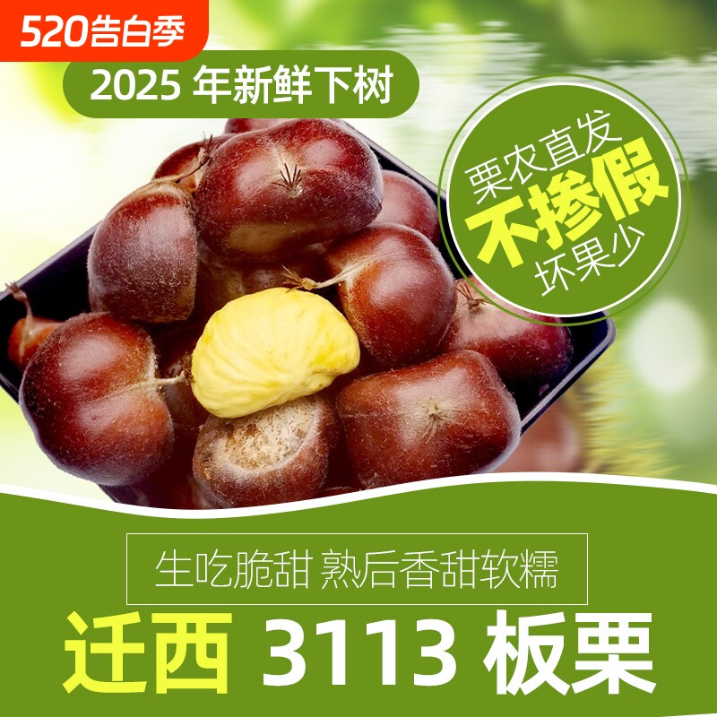 2025年现摘正宗迁西板栗野生油栗生新鲜栗子河北板栗毛栗3113