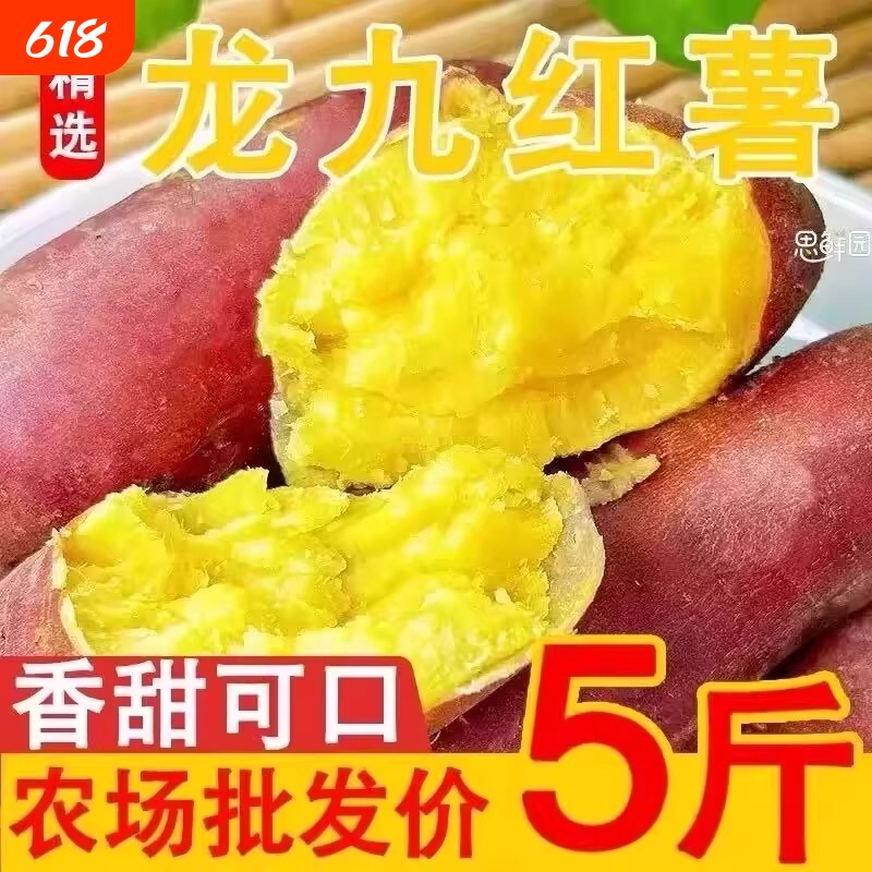 新鲜沙地龙九红薯黄心蜜薯现挖现发健康美味自提农场番薯软糯甜蜜