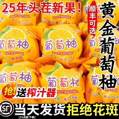 正宗黄金葡萄柚香甜多汁整箱装