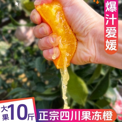 SVIP四川正宗爱媛38号果冻橙10斤新鲜当季水果柑橘桔子手剥橙包邮