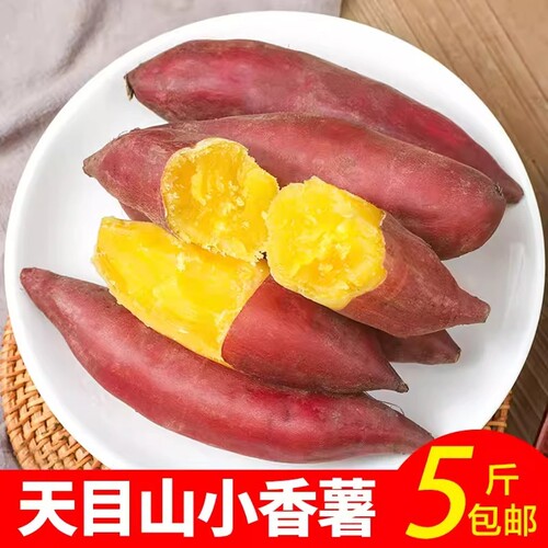 临安天目山小香薯正宗5斤农家自种番薯地瓜蜜薯拇指新鲜板栗红薯
