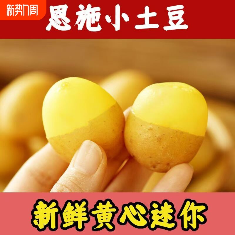 【硒都特产】恩施富硒小土豆新鲜迷你高山洋芋马铃薯黄心新鲜农家